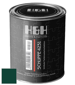 Глубокоматовая краска H&H SCHUPPE цвет RAL 6005 