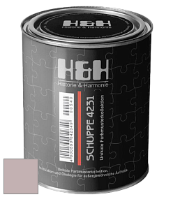 Глубокоматовая краска H&H SCHUPPE цвет DRF 3098 