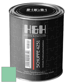 Глубокоматовая краска H&H SCHUPPE цвет NCS S 1040-G 