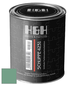 Глубокоматовая краска H&H SCHUPPE цвет NCS S 3030-G 