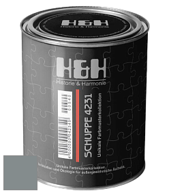 Глубокоматовая краска H&H SCHUPPE цвет DRF 9019 
