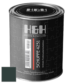 Глубокоматовая краска H&H SCHUPPE цвет RAL 6012 