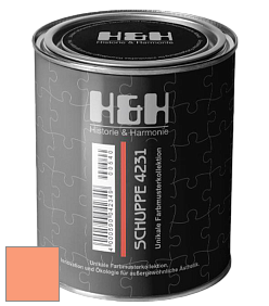 Глубокоматовая краска H&H SCHUPPE цвет NCS S 0550-Y60R 
