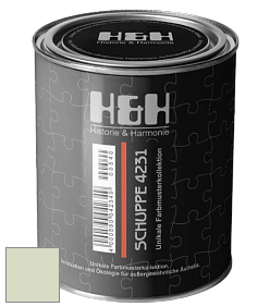 Глубокоматовая краска H&H SCHUPPE цвет NCS S 1010-G40Y 