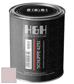 Глубокоматовая краска H&H SCHUPPE цвет NCS S 1510-R10B 