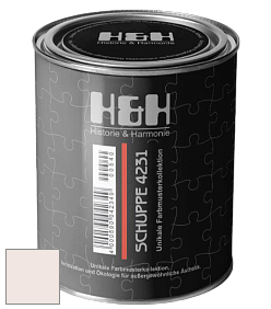 Глубокоматовая краска H&H SCHUPPE цвет NCS S 0505-Y90R 
