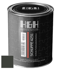 Глубокоматовая краска H&H SCHUPPE цвет RAL 6015 