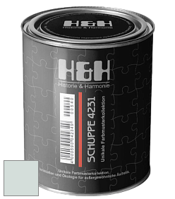 Глубокоматовая краска H&H SCHUPPE цвет NCS S 1005-B80G 