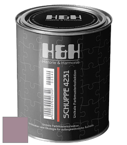 Глубокоматовая краска H&H SCHUPPE цвет RAL 4009 