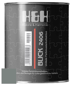 Глубокоматовая краска H&H Blick цвет DRF 9020 