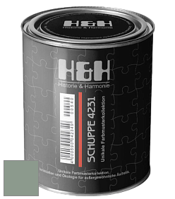 Глубокоматовая краска H&H SCHUPPE цвет NCS S 4010-G10Y 