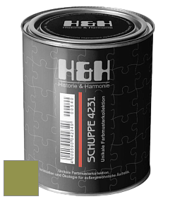 Глубокоматовая краска H&H SCHUPPE цвет NCS S 3050-G50Y 