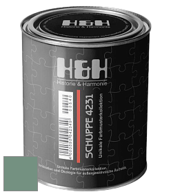 Глубокоматовая краска H&H SCHUPPE цвет NCS S 4020-G 