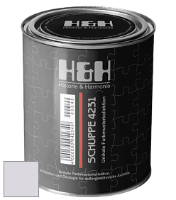 Глубокоматовая краска H&H SCHUPPE цвет NCS S 1005-R50B 