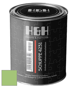 Глубокоматовая краска H&H SCHUPPE цвет NCS S 1050-G30Y 