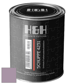 Глубокоматовая краска H&H SCHUPPE цвет NCS S 3020-R40B 