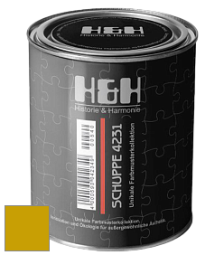 Глубокоматовая краска H&H SCHUPPE цвет RAL 1005 
