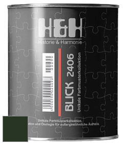Глубокоматовая краска H&H Blick цвет RAL 6007 