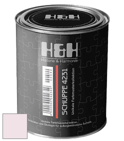 Глубокоматовая краска H&H SCHUPPE цвет NCS S 0507-R20B 