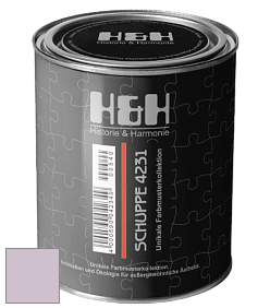 Глубокоматовая краска H&H SCHUPPE цвет NCS S 1515-R40B 