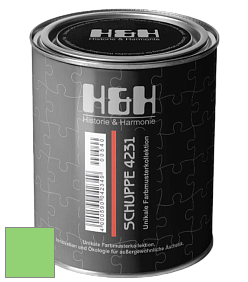 Глубокоматовая краска H&H SCHUPPE цвет NCS S 0560-G20Y 