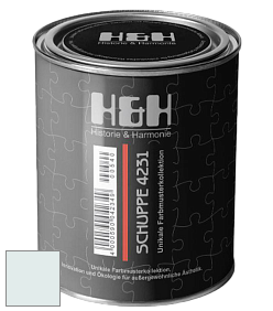 Глубокоматовая краска H&H SCHUPPE цвет NCS S 0505-B50G 