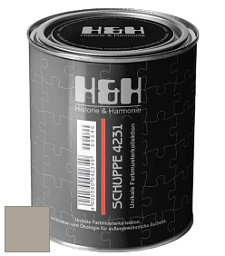 Глубокоматовая краска H&H SCHUPPE цвет DRF 9038 