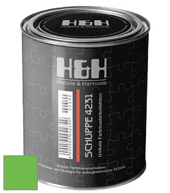 Глубокоматовая краска H&H SCHUPPE цвет NCS S 0575-G20Y 