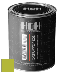 Глубокоматовая краска H&H SCHUPPE цвет NCS S 1070-G50Y 