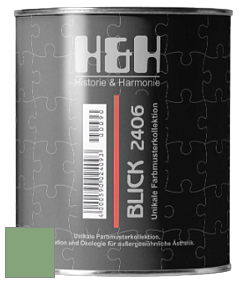 Глубокоматовая краска H&H Blick цвет RAL 6021 
