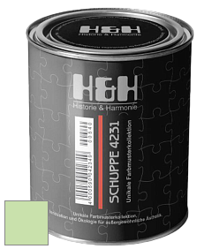 Глубокоматовая краска H&H SCHUPPE цвет NCS S 0530-G30Y 