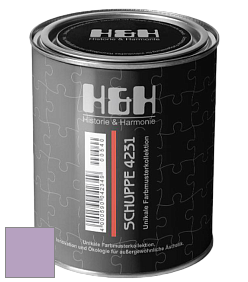 Глубокоматовая краска H&H SCHUPPE цвет NCS S 2030-R50B 