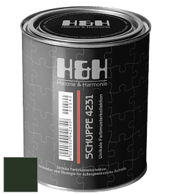 Глубокоматовая краска H&H SCHUPPE цвет RAL 6007 