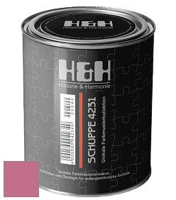 Глубокоматовая краска H&H SCHUPPE цвет NCS S 2050-R20B 