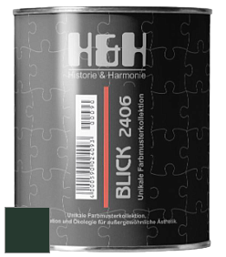 Глубокоматовая краска H&H Blick цвет RAL 6009 
