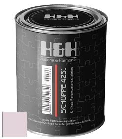 Глубокоматовая краска H&H SCHUPPE цвет NCS S 1010-R30B 