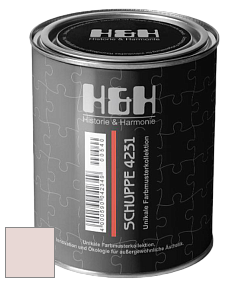 Глубокоматовая краска H&H SCHUPPE цвет NCS S 0907-Y90R 