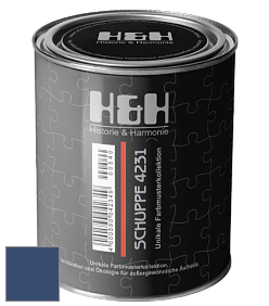 Глубокоматовая краска H&H SCHUPPE цвет RAL 5000 