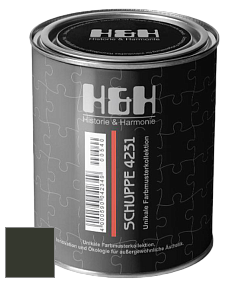 Глубокоматовая краска H&H SCHUPPE цвет RAL 6008 