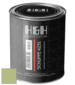 Глубокоматовая краска H&H SCHUPPE цвет NCS S 2030-G50Y 