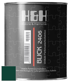 Глубокоматовая краска H&H Blick цвет RAL 6005 