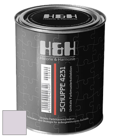 Глубокоматовая краска H&H SCHUPPE цвет NCS S 1010-R40B 
