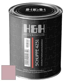 Глубокоматовая краска H&H SCHUPPE цвет NCS S 2020-R10B 