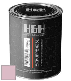 Глубокоматовая краска H&H SCHUPPE цвет DRF 1563 