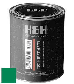 Глубокоматовая краска H&H SCHUPPE цвет RAL 6024 