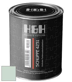 Глубокоматовая краска H&H SCHUPPE цвет NCS S 1010-G 