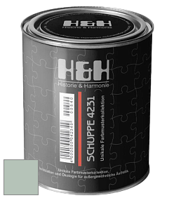 Глубокоматовая краска H&H SCHUPPE цвет NCS S 2010-G 