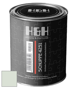 Глубокоматовая краска H&H SCHUPPE цвет NCS S 0907-G20Y 