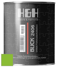 Глубокоматовая краска H&H Blick цвет NCS S 0580-G30Y 