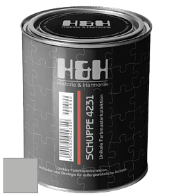 Глубокоматовая краска H&H SCHUPPE цвет NCS S 3000-N 